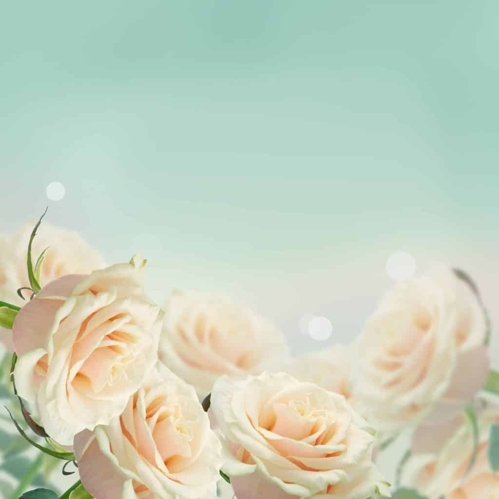 omsorg og praktisk hjelp fra Revheim Gravferdshjelp i en vanskelig tid.